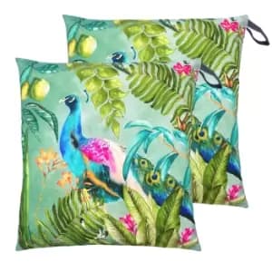 Peacock Large 70cm Outdoor Floor Twin Pack Cushion Multi