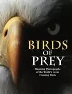 birds of prey stunning photographs of the worlds great hunting birds