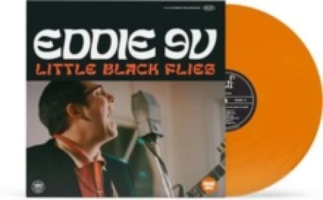 Little Black flies Vinyl