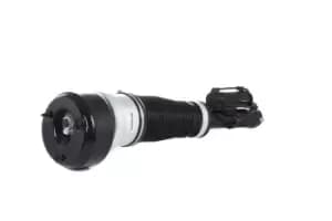 RIDEX Air Spring Strut Front Axle 4118A0007 MERCEDES-BENZ,S-Klasse Limousine (W221)