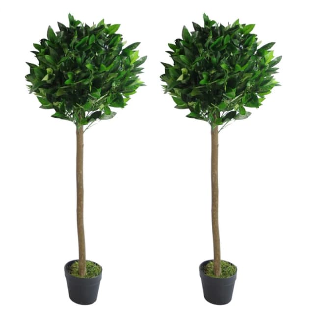Leaf Design Pair of 120cm (4ft) Plain Stem Artificial Topiary Bay Laurel Ball Trees