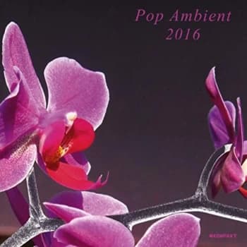 V/A Electronic - Pop Ambient 2016 CD