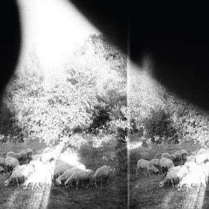 Godspeed You Black Emperor - Asunder Sweet And Other Distress Vinyl