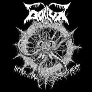 Taphonomy by Bokluk CD Album