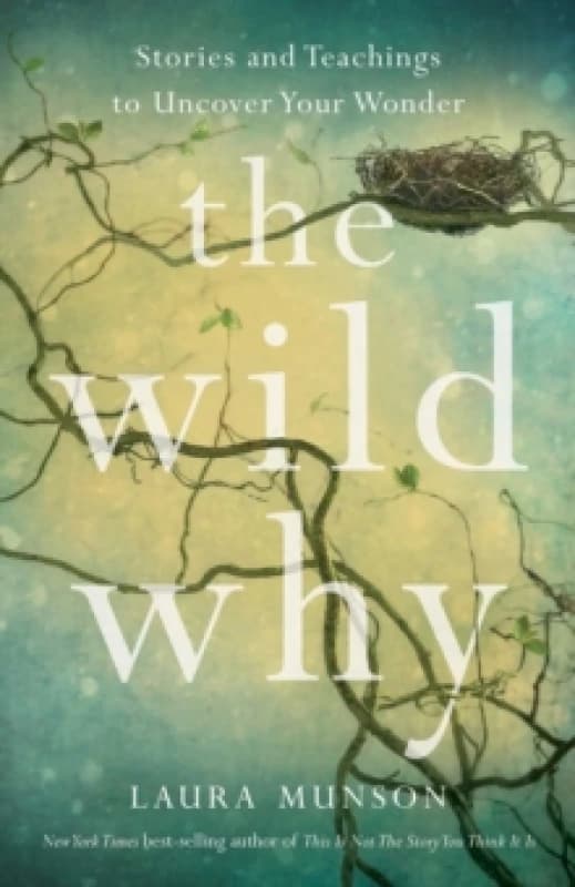 The Wild Why : Returning to Your Wonder Paperback / softback