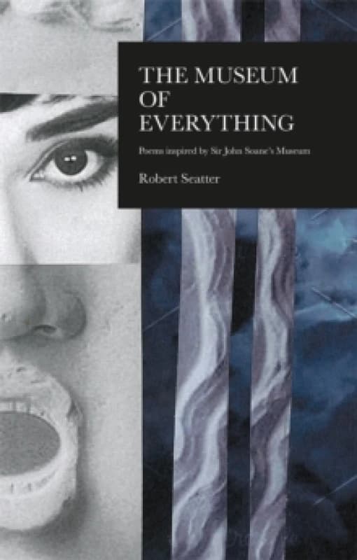 The House of Everything : Poems Inspired by Sir John Soane's Museum Paperback / softback