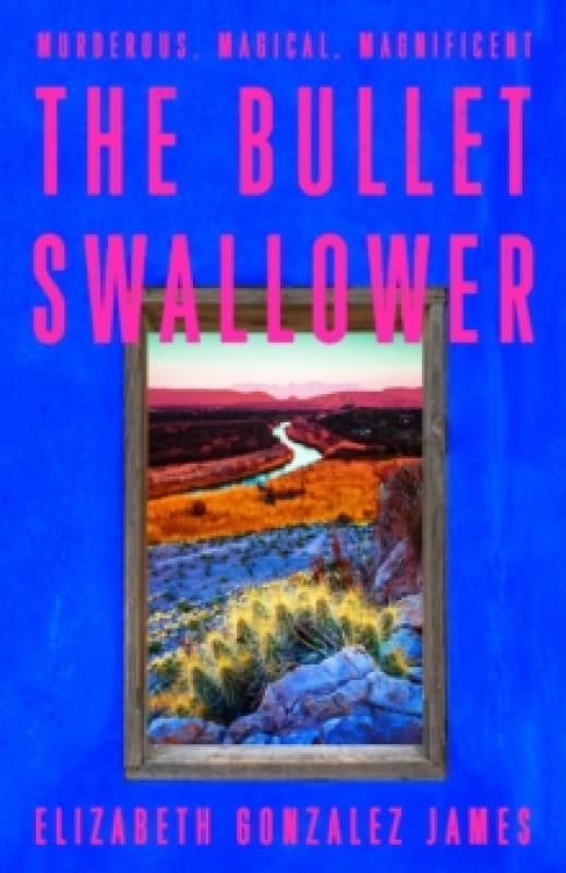 The Bullet Swallower Hardback