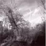 Harvey Milk - Small Turn Of Human Kindness, A (Music CD)