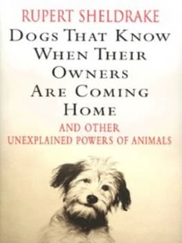 Dogs That Know When Their Owners Are Coming Home and Other Unexplained Powers of Animals by Rupert Sheldrake Hardback