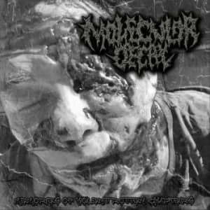 Memories of Violent Rotten Chapters by Molecular Decay CD Album
