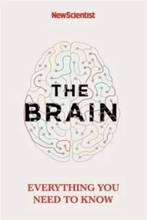 The brain by Alison George