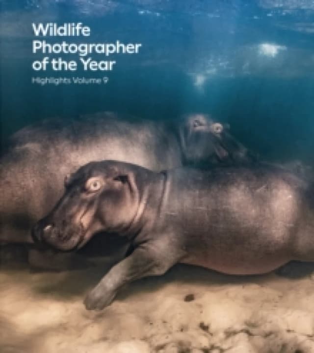 Wildlife Photographer of the Year. Paperback. By Rosamund Kidman Cox Books