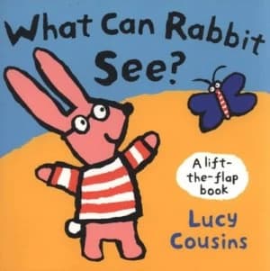 What Can Rabbit See by Lucy Cousins Paperback
