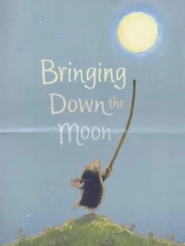 Bringing down the Moon by Jonathan Emmett and Vanessa Cabban Hardback