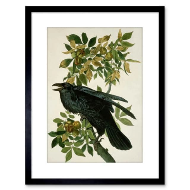 Artery8 Wall Art Print Painting Nature Animal Bird Audubon Raven Artwork Framed 9X7 Inch