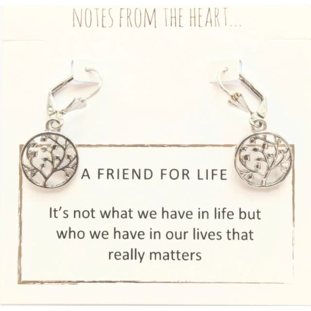 Notes From The Heart NFTH A FRIEND FOR LIFE earrings Silver unisex one size