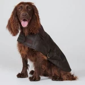 Barbour Wax Dog Coat Olive Large