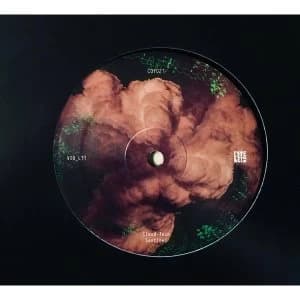 VIO_L3T - Cloud-Tech Vinyl