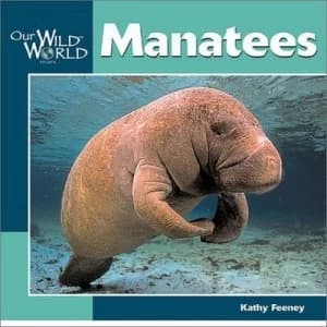 Manatees by Kathy Feeney Paperback