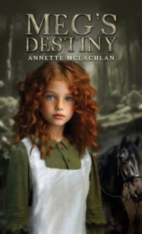 Meg's Destiny. Paperback. By Annette McLachlan Books