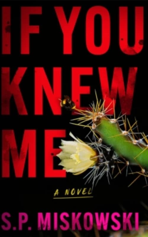 If You Knew Me : A Novel Paperback / softback