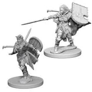 Pathfinder Deep Cuts Unpainted Miniatures (W1) Human Female Paladin