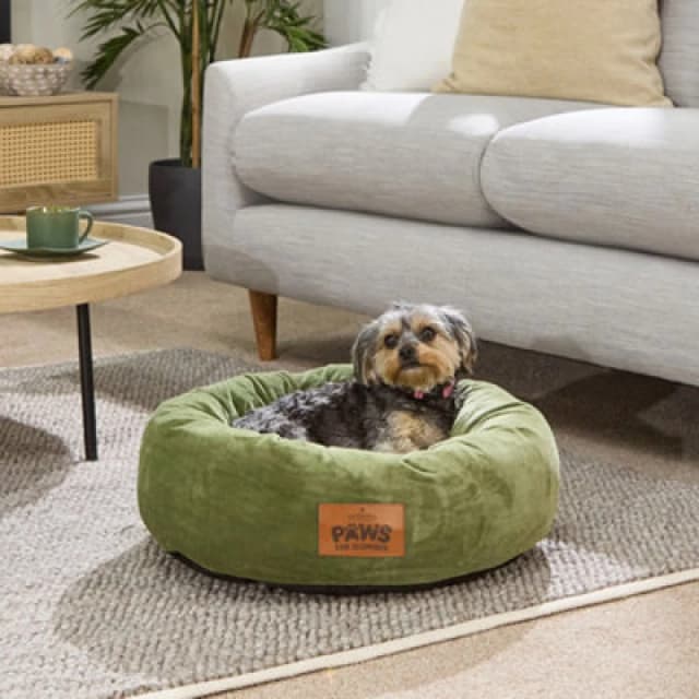 Slumberdown Slumberdown Paws for Slumber Donut Pet Bed, Small, 55cm Diameter in Green Green S Unisex 5012924077209