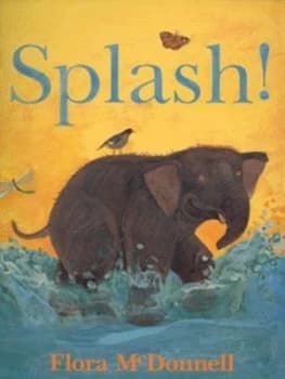 Splash by Flora Mcdonnell Hardback