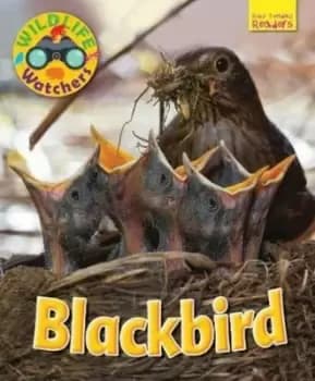 Blackbird - Ruth Owen - Paperback - Used