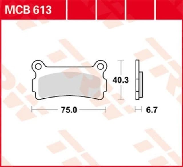 TRW MCB613 Brake pad set Brake Pad Set,disc brake (402)