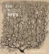 beautiful brain the drawings of santiago ramon y cajal