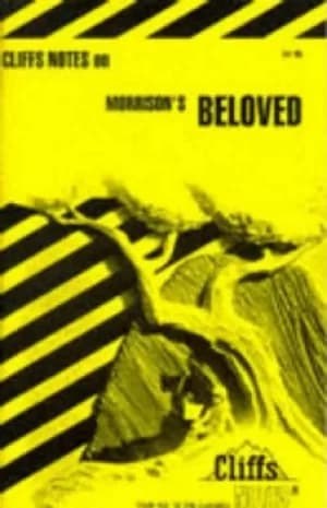 CliffsNotes on Morrisons Beloved by Mary Robinson