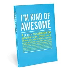 Knock Knock I|m Kind of Awesome Inner Truth Journal Notebook / blank book 2015