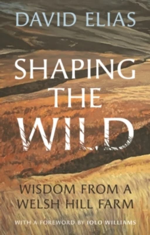 Shaping the Wild : Wisdom from a Welsh Hill Farm Hardback
