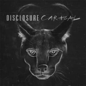 Caracal by Disclosure Vinyl Album