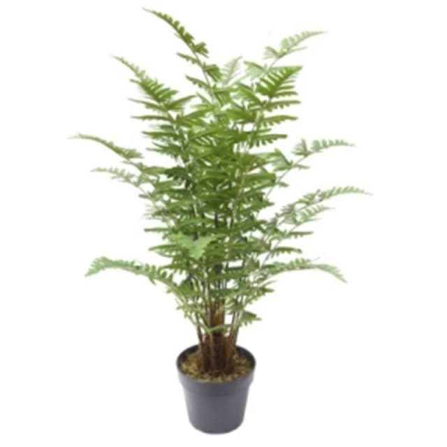 N/A 75cm Artificial Fern Plant