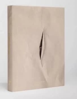 Design behind Desire by Lisa Z Morgan Hardback