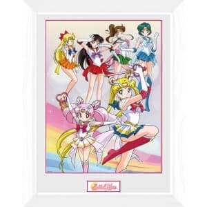 Sailor Moon Team Framed Collector Print