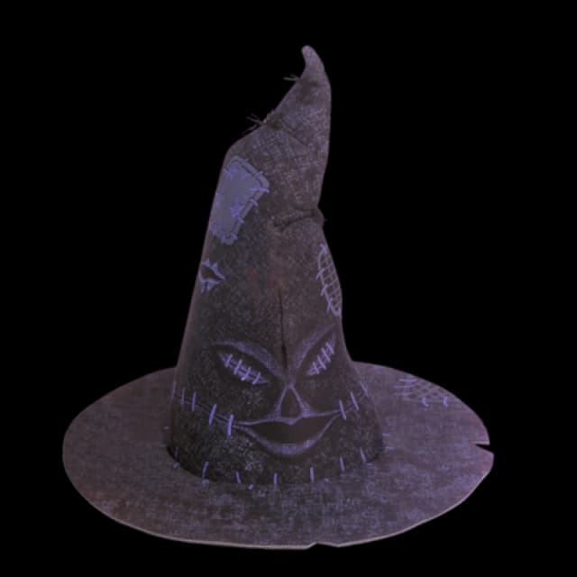 Harry Potter: Sorting Hat
