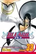 bleach vol 33 the bad joke
