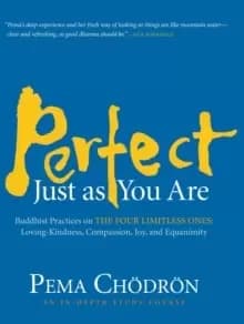 Perfect Just as You Are : Buddhist Practices on the Four Limitless Ones--Loving-Kindness, Compassion, Joy, and Equanimity