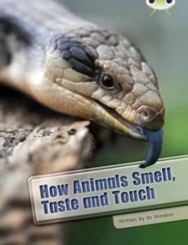 How Animals Smell Taste and Touch by Jo Windsor Book