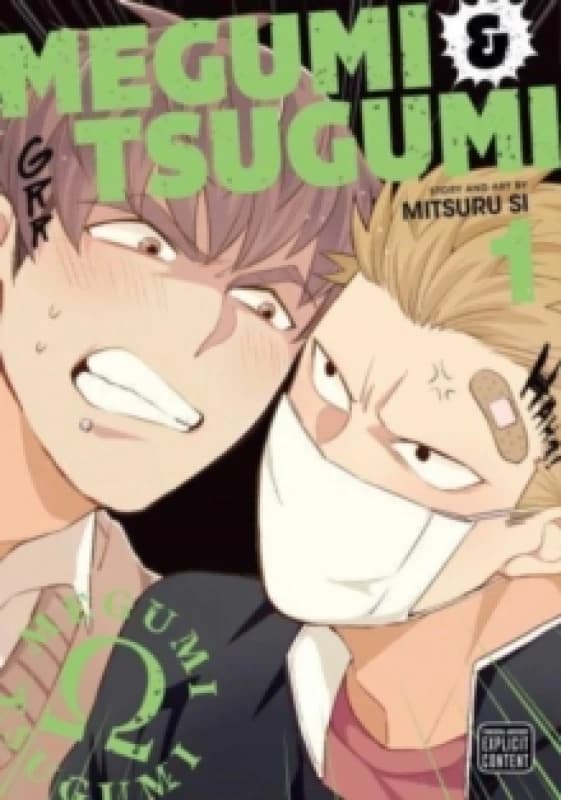 Megumi & Tsugumi, Vol. 1 Paperback / softback