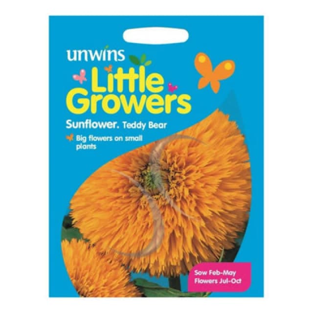 Unwins Little Growers Sunflower Teddy Bear