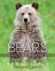Bears of the North : A Year Inside Their Worlds