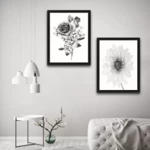 Rose Rose Set Multicolor Decorative Framed Painting (2 Pieces)