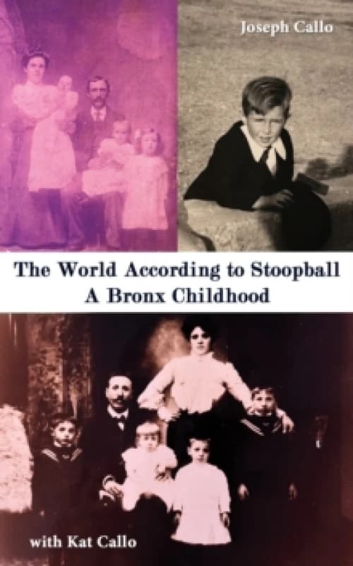 The World According to Stoopball. Paperback. By Joseph Callo Kat Callo Books