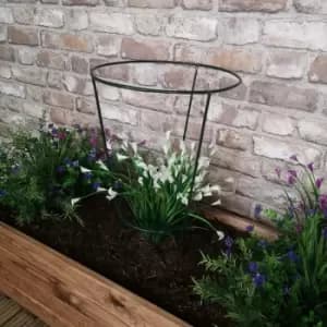 Samuel Alexander - Tom Chambers Urban Green Conical Garden Plant Support Ring 30cm - Medium