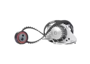 SKF Water Pump + Timing Belt Kit VKMC 03201-1 FIAT,PEUGEOT,CITROEN,ULYSSE (220),306 Schragheck (7A, 7C, N3, N5),306 Cabriolet (7D, N3, N5)