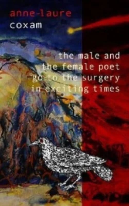 The Male and the Female Poet Go to the Surgery in Exciting Times : and Other Poems Paperback / softback